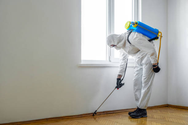 Best Residential Pest Control  in , VA